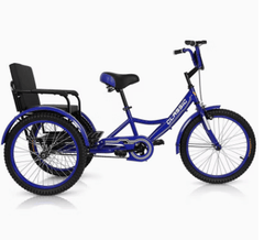 Classic Tricycle 12 Back Seat Blue - Colorland Toys