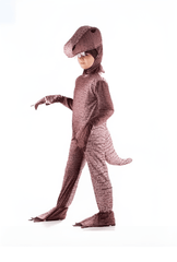 Costume Dinosaur Brown 541 4 - 5 - Colorland Toys