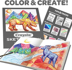 Crayola Coloring and Sketching Set 04 - 1050 - Colorland Toys