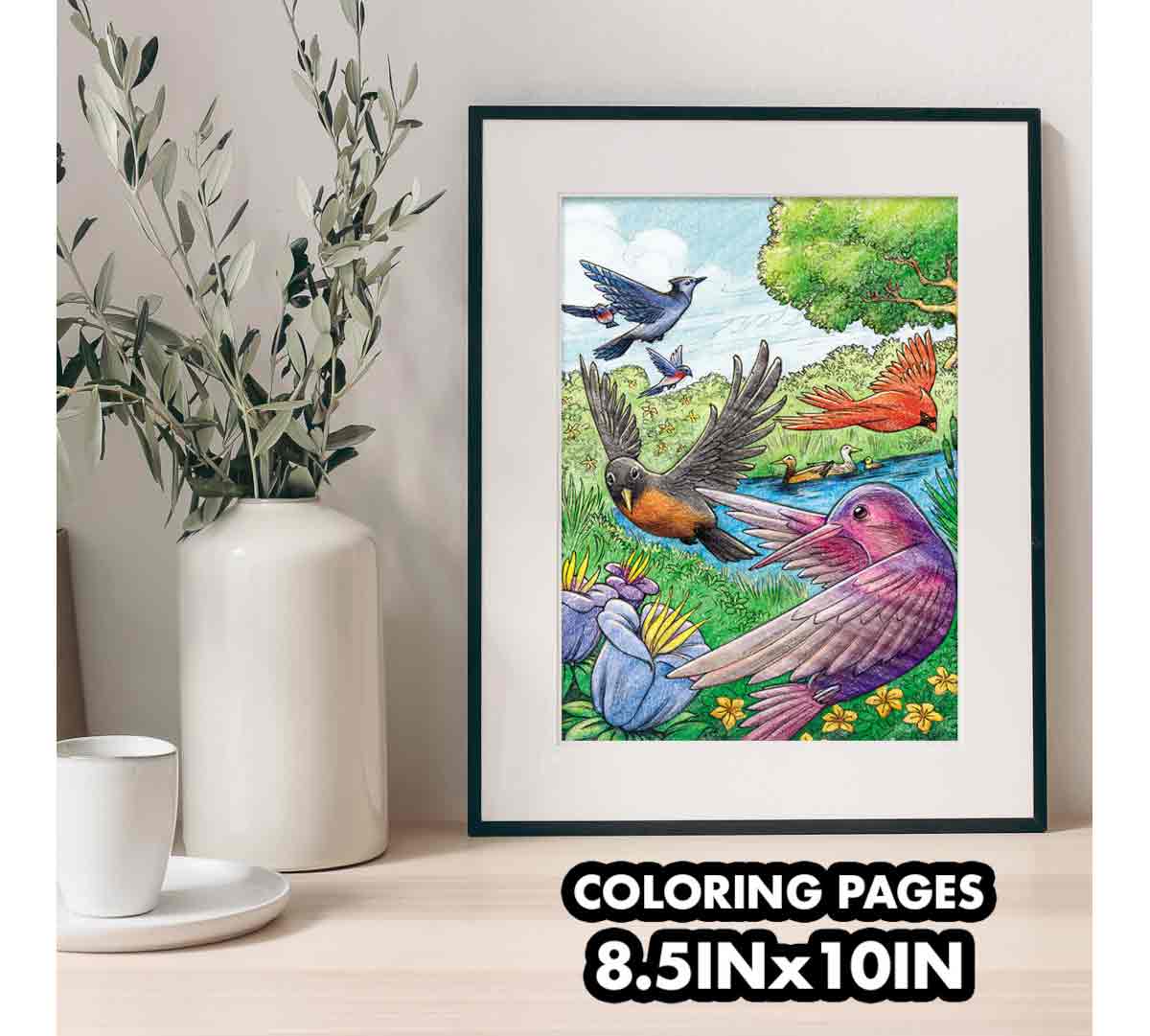 Crayola Colouring Book - Bird Watching 40pages CY04 - 1133 - Colorland Toys