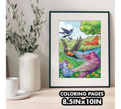 Crayola Colouring Book - Bird Watching 40pages CY04 - 1133 - Colorland Toys