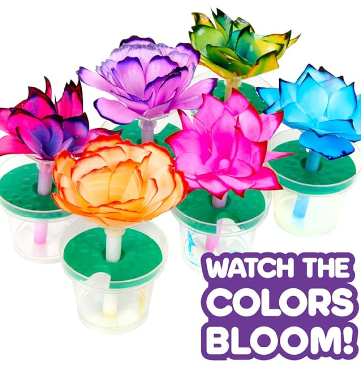 Crayola STEAM Paper Flower Science Kit CY74 - 7409 - Colorland Toys