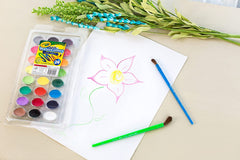 Crayola Washable Watercolors 24ct CY53 - 0524 - Colorland Toys