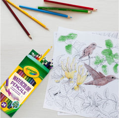 Crayola Watercolor Pencils 24ct 68 - 4304 - Colorland Toys