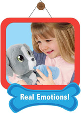 Cry Pets Dog Grey MTC00000 - Colorland Toys