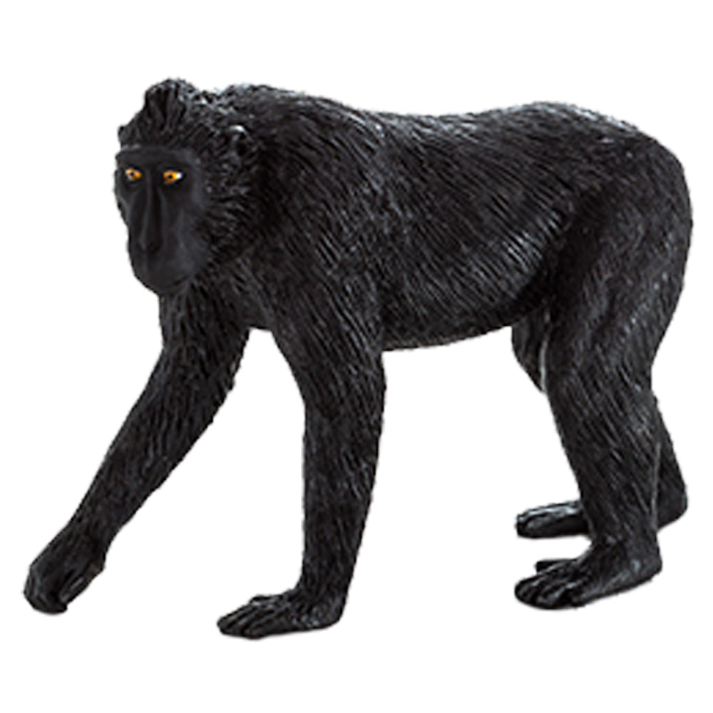 Black Crested Macaque - Colorland Toys