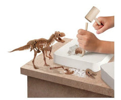 Discovery Mindblown T - Rex Dinosaur Excavation Kit Skeleton 10 - Piece 3D Puzzle 1423004871 - Colorland Toys