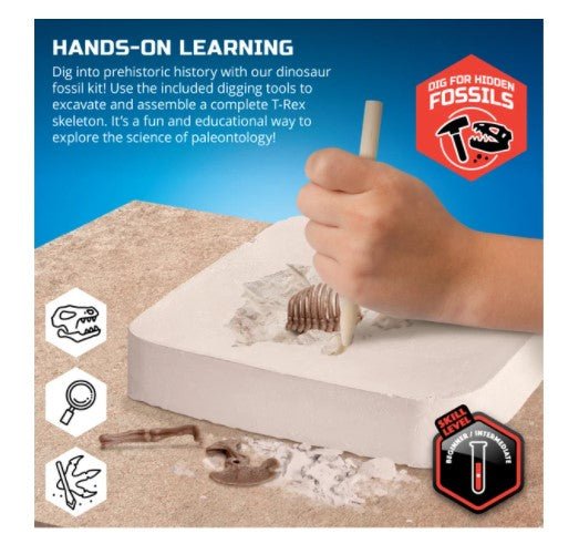 Discovery Mindblown T - Rex Dinosaur Excavation Kit Skeleton 10 - Piece 3D Puzzle 1423004871 - Colorland Toys