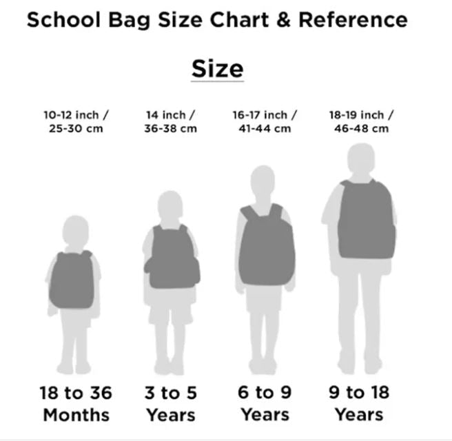 Disney Frozen Forever Sisters Trolley Bag 18inch TBT23INDT2 - 18 - Colorland Toys