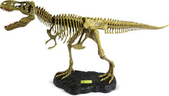 DR. STEVE HUNTERS T. REX REPLICA SKELETON 91082 - Colorland Toys