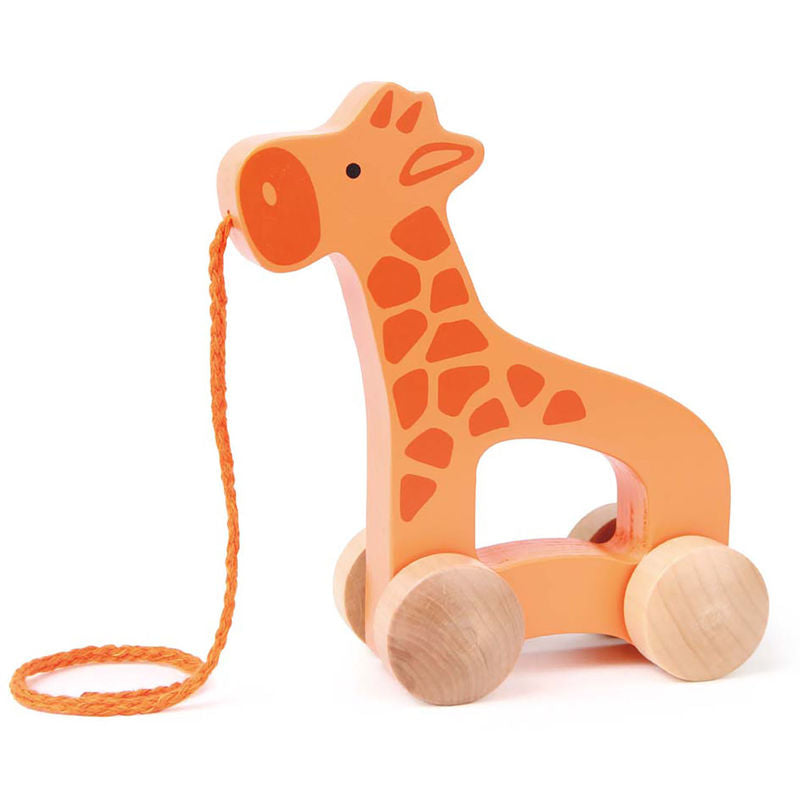 Hape Giraffe-Themed Push & Pull Along Toy - Colorland Toys