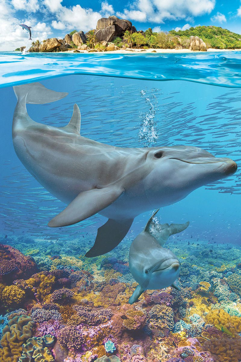 Eurographics Puzzle 250 - Pcs Dolphins 8251 - 5560 - Colorland Toys