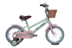 Qitong Bicycle With Basket 16 Inch Green TN23A01 16IN - Colorland Toys