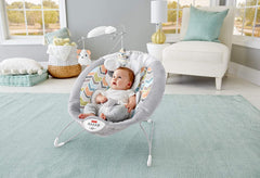 Fisher - Price Sweet Snugapuppy Deluxe Bouncer GWD50 - Colorland Toys