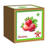 Gardening Kit Strawberry/Mint PG - 7706/10C - Colorland Toys