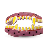 Halloween Horror Vampire Fake Teeth - Colorland Toys