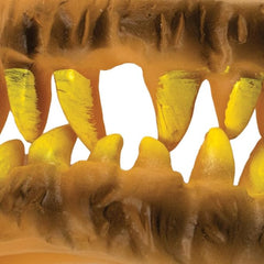 Halloween Horror Yellow Monster Teeth 349144 - C - Colorland Toys