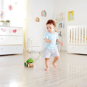 Hape Frog - Themed Push & Pull Along Toy - Colorland Toys