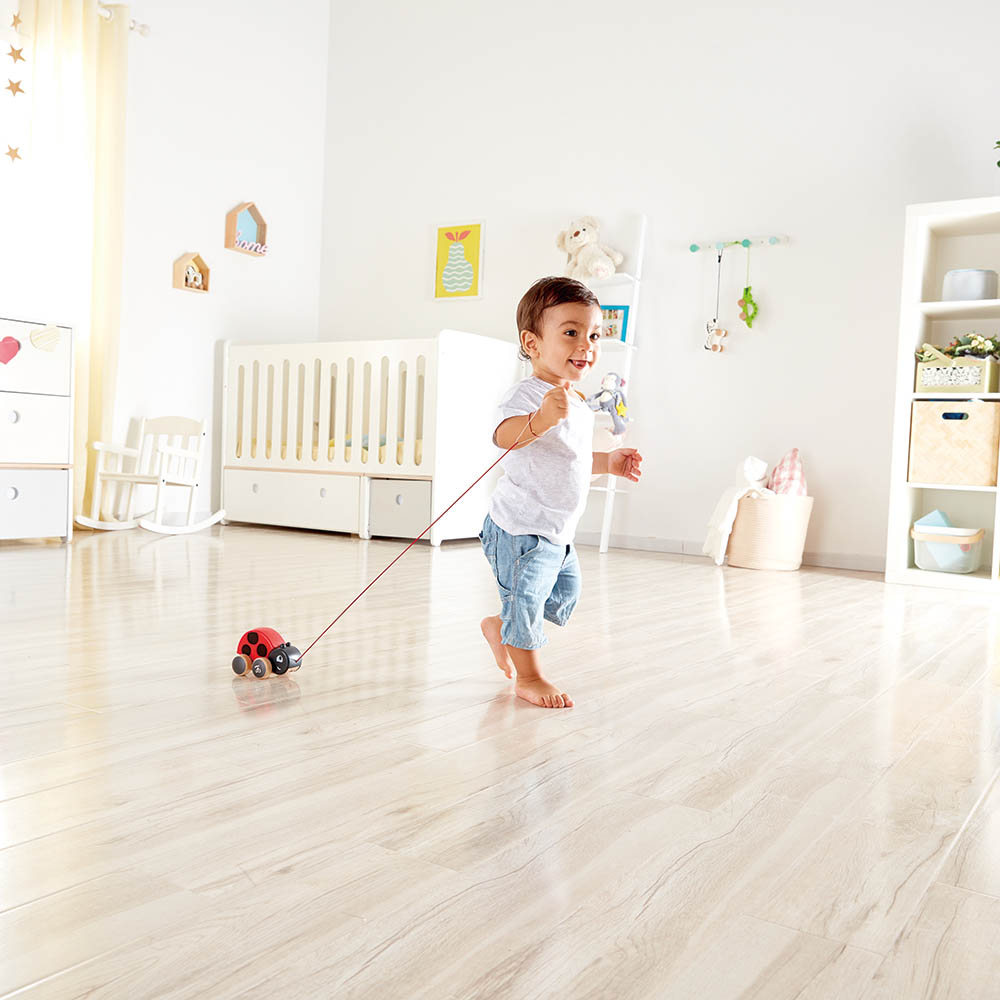 Hape Ladybug Push & Pull Along Toy - Colorland Toys