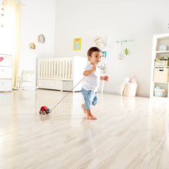 Hape Ladybug Push & Pull Along Toy - Colorland Toys