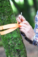 Hape Pocket Swing E5573 - Colorland Toys