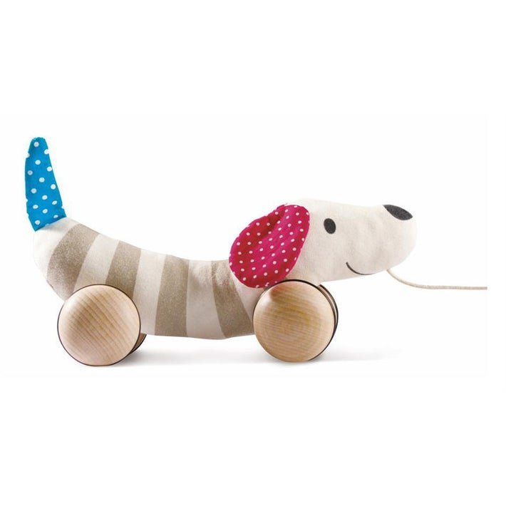 Hape Push and Pull Along Dog - Colorland Toys