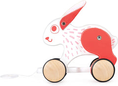 Hape Push and Pull Bunny Wooden Pull Along Toy - Colorland Toys