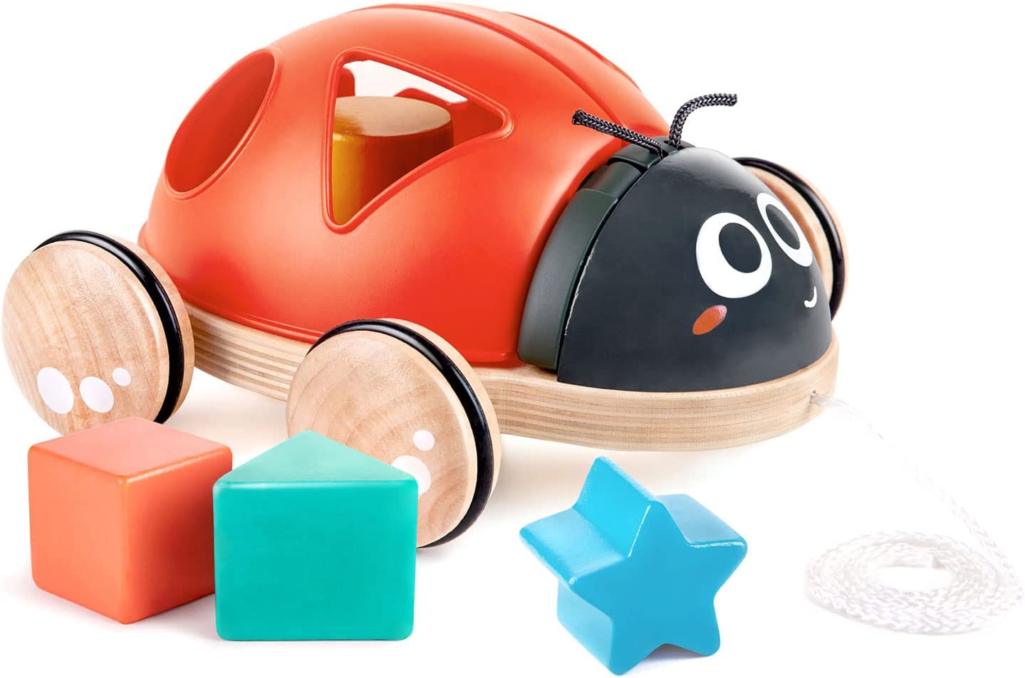 Hape Wooden Ladybug - Themed Push and Pull - Along Toy - Colorland Toys