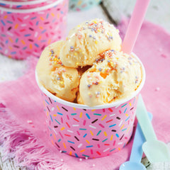 Hinkler Ultimate Ice Cream and Sorbet Kit - Colorland Toys