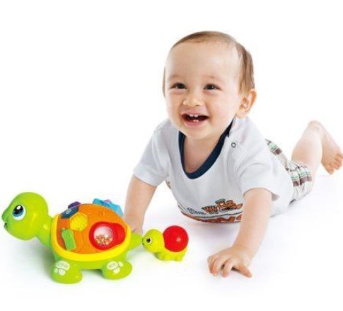 Hola Adult/Child Interactive Turtle B1156/868 - Colorland Toys