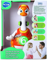 Hola Swing Goose B1155/828 - Colorland Toys