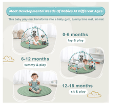 Hu - Baby Activity Play Gym P5748/69881 - Colorland Toys