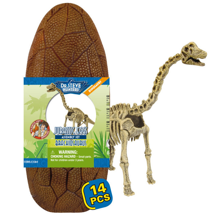 Dr Steve Hunters Jurassic Eggs Brachiosaurus Assembly Set 91059 - Colorland Toys