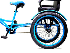 Knolly Three Wheel Bicycle 12 Inch Double Seat Blue - Colorland Toys