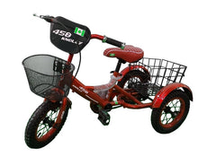 Knolly 12 inch Three Wheel Bicycle with Basket Red - Colorland Toys