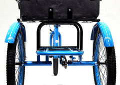 Knolly Three Wheel Bicycle 12 Inch Double Seat Blue - Colorland Toys