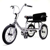 Knolly Three Wheel Bicycle 12 Inch Double Seat Silver - Colorland Toys
