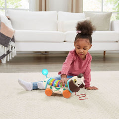 Leapfrog Wooden Alphapup 80 - 615203 - Colorland Toys