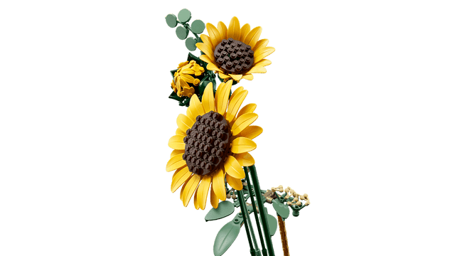LEGO 11502 Sunflower Bouquet 6588541 - Colorland Toys