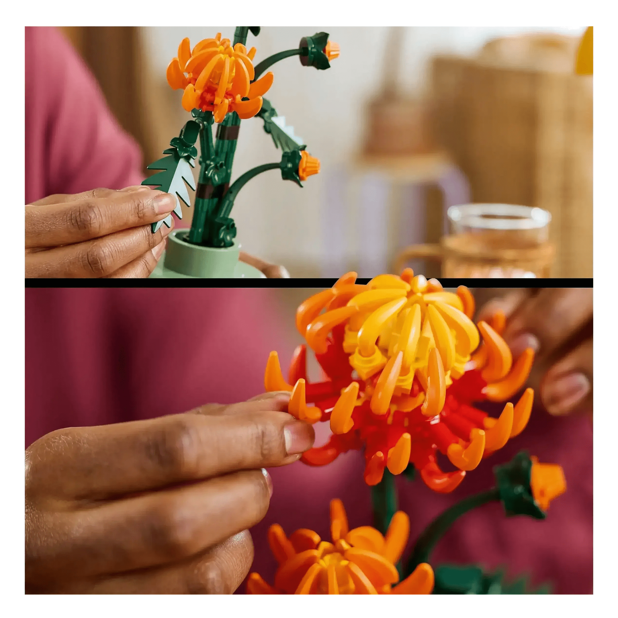LEGO Botanical Chrysanthemum 10368 - Colorland Toys