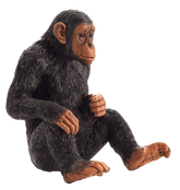 LEGO City Smashing Chimpanzee Stunt Loop 6379649/60338 - Colorland Toys