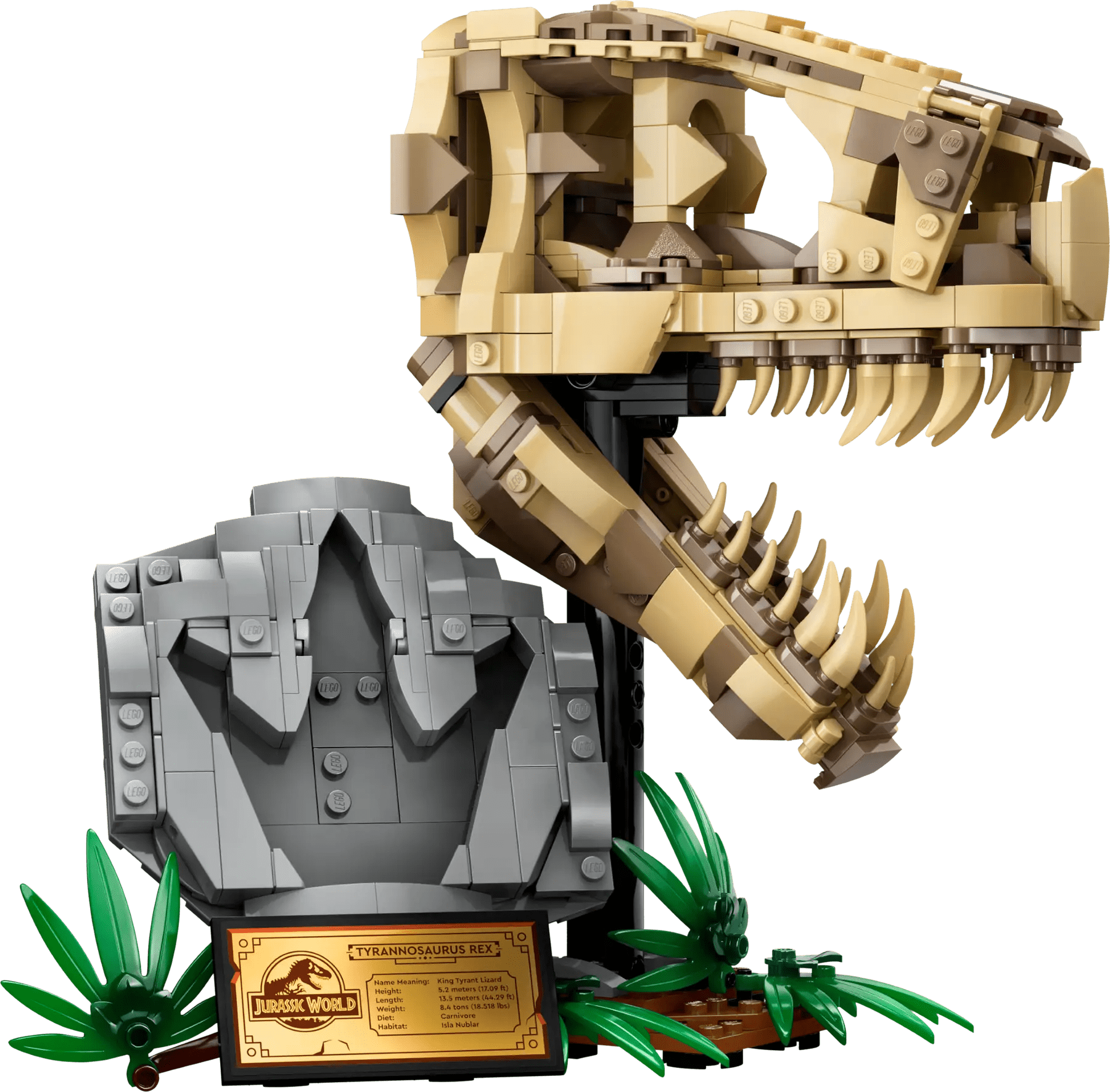 LEGO Dinosaur Fossils T.Rex Skull - Colorland Toys