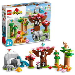 LEGO Duplo Wild Animals of Asia 6379268/10974 - Colorland Toys