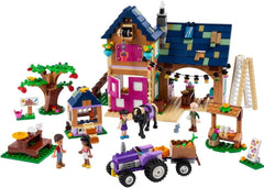 LEGO Friends Organic Farm 6379079/41721 - Colorland Toys