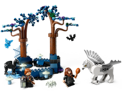 LEGO Harry Potter Forbidden Forest Magical Creatures 6474615/76432 - Colorland Toys