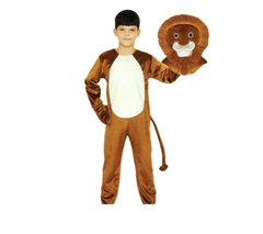 Lion Costume 4 - 5Y/O - Colorland Toys