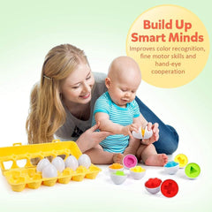 Matching Eggs 12Pieces DF12 - Colorland Toys