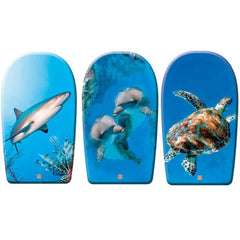 Mondo Kick Board Sea Animals 84 - Cm Asst 11249 - Colorland Toys