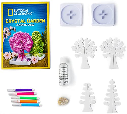 National Geographic Crystal Garden RTCRYSGRDNINT - Colorland Toys