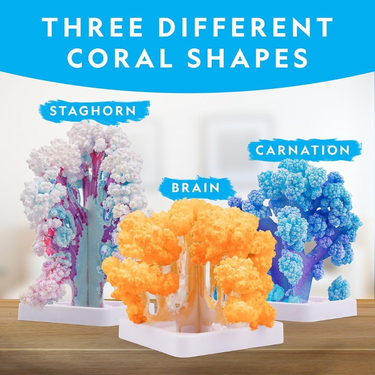 National Geographic Crystal Reef Coral Growing Lab RTCRYSHABINT - Colorland Toys